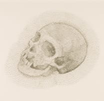 Walter Oltmann; Skull