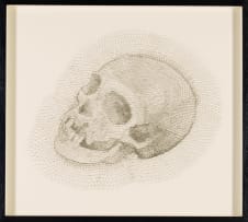 Walter Oltmann; Skull