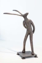 Guy du Toit; The Shy Hare