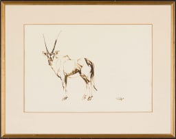 Zakkie Eloff; Gemsbok