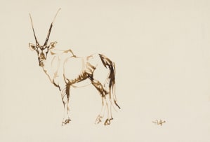 Zakkie Eloff; Gemsbok