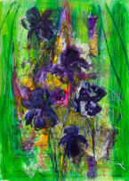 Judy Conway; Iris I