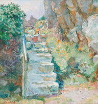 Francois Roux; Steps at Aasfontein