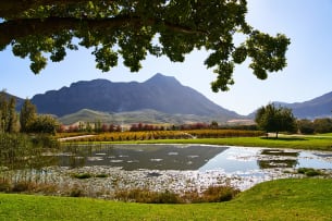 AfrAsia Bank - Saronsberg Full Circle 2013 6L