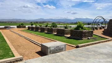 Weltevrede - Captivated by Chardonnay Underground Tour for 10 Guests