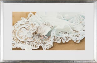 Leigh Voigt; Dove on a Lace Cloth