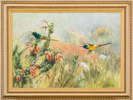 Ingrid Weiersbye; Sunbirds