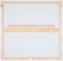 Hank Willis Thomas; Come out of the Bone Age, Darling...1955/2015