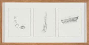 Temitayo Ogunbiyi; You Will Disembark Safely at The Top of The Spiral; You Will Sense the Most Gentle Offshoots within Preoccupations of Power; You Will Wear Rich Layers as a Crown, three