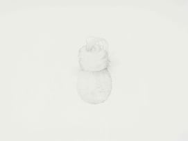 Temitayo Ogunbiyi; You Will Not Wine Up ‘Round Other People Wahala