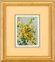 Willem Hermanus Coetzer; Golden Wattle