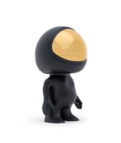 Norman O'Flynn; Afronaut