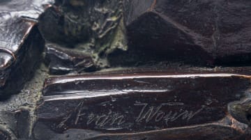 Anton van Wouw; Slegte Nuus