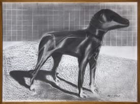 Albert Adams; Masked Dog