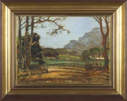 Pieter Wenning; Alphen near Wynberg