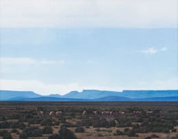 Daan Vermeulen; Karoo