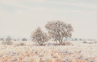 Herbert Diener; Arid Landscape with Trees, Namibia