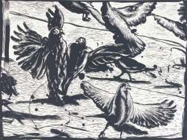 Colbert Mashile; Pigeons