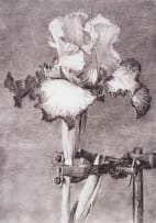 William Kentridge; Iris II (In Clamp)
