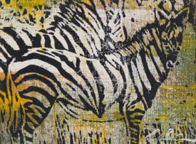 Gordon Vorster; Zebras in a Field