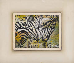 Gordon Vorster; Zebras in a Field