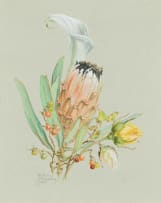 Tiiu Kadak; Protea and Arum Lily