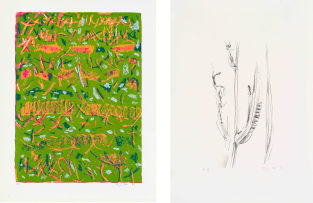 Thijs Nel; Abstract in Green; Botanical Study, two