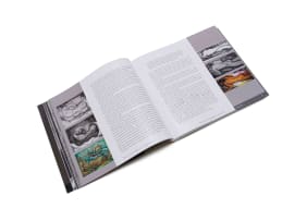 Esme Berman and Karel Nel; Alexis Preller: Africa, the Sun and Shadows and Collected Images