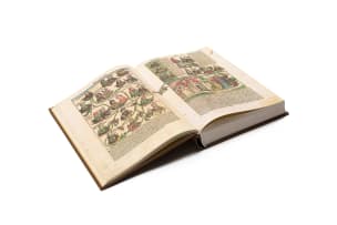 Unknown Artist; Collection of Woodcuts; Chronicle of the World 1493, nine