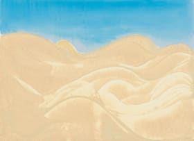 Trevor Coleman; Namib Desert