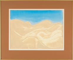 Trevor Coleman; Namib Desert
