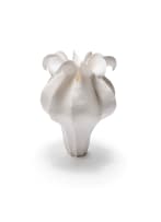 Astrid Dahl; Abstract botanical vessel