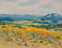 Piet van Heerden; Namaqualand in Spring