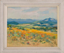 Piet van Heerden; Namaqualand in Spring