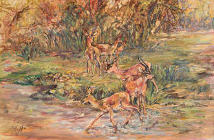 Zakkie Eloff; Springboks beside a River