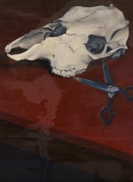 Wessel van Huyssteen; Still Life with Skull and Scissors