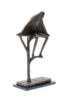 Gerard de Leeuw; Sangoma on Branch