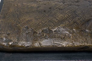 Gerard de Leeuw; Sangoma on Branch