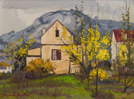 David Botha; Houses, Paarl