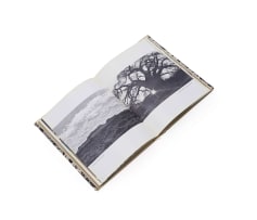Walter Battiss; Limpopo Drawings; Limpopo First Edition, ten