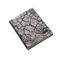 Walter Battiss; Limpopo Drawings; Limpopo First Edition, ten