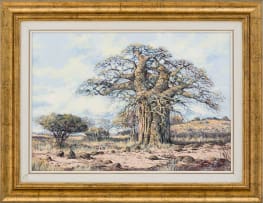 Francois Badenhorst; Baobab