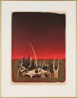 Wendy Vincent; Surreal Landscape with Red Sky