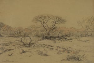 Jacob Hendrik Pierneef; Swakoprivier, Suid Wes Afrika