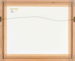 Robert Hodgins; Encounter
