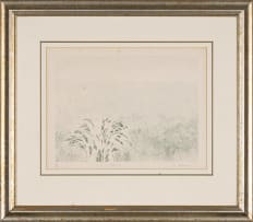 Sue Williamson; Etosha
