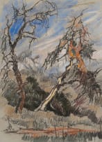 Johannes Blatt; Acacias along a Pathway