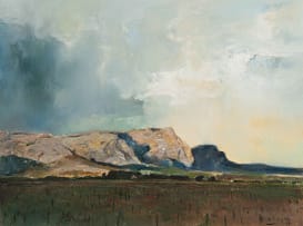 Errol Boyley; Cape Vineyards