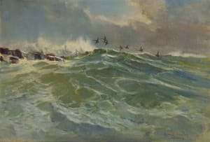 Errol Boyley; Cormorants over a Cresting Wave