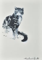 Mari Vermeulen-Breedt; Kieters (Kitters)